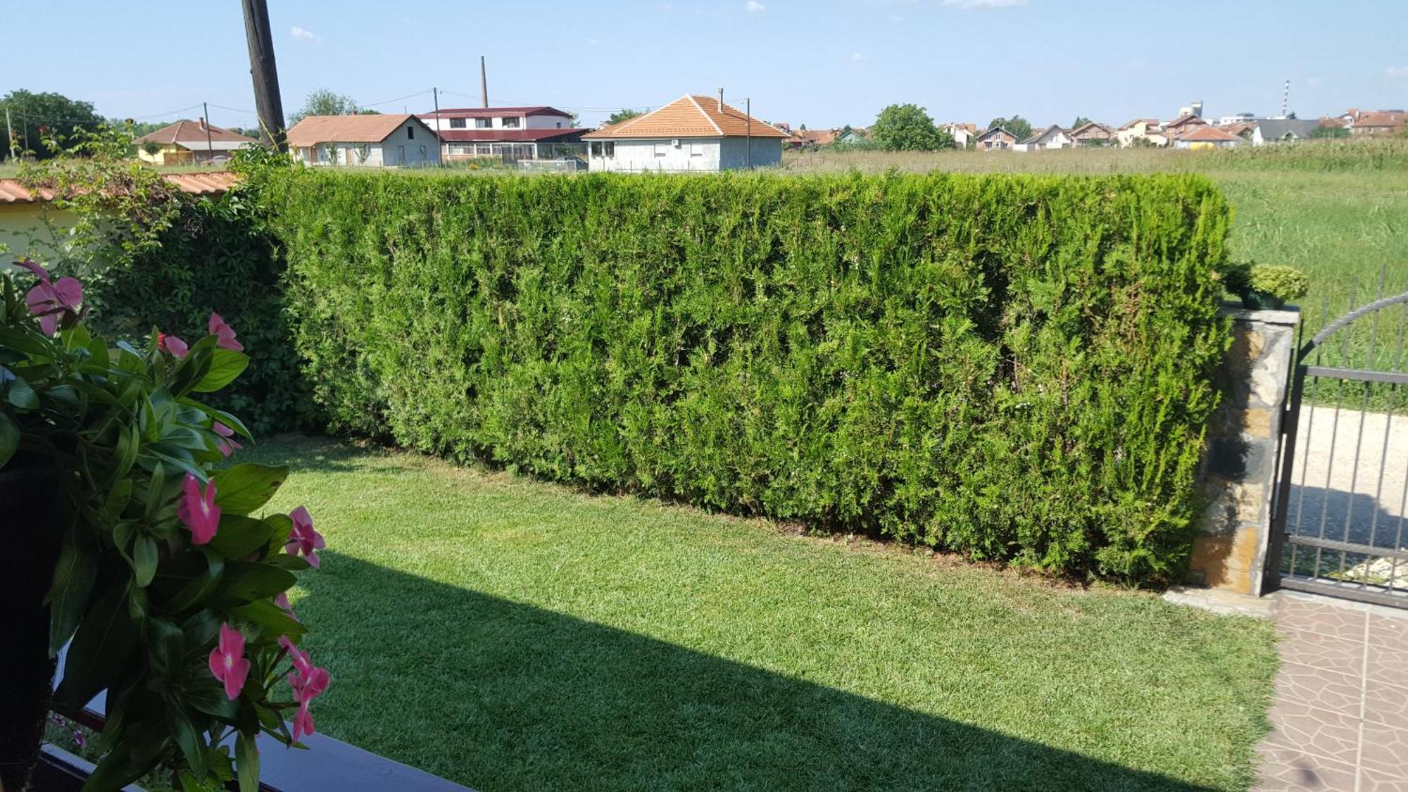 Holiday Home Di More Jagodina Εξωτερικό φωτογραφία